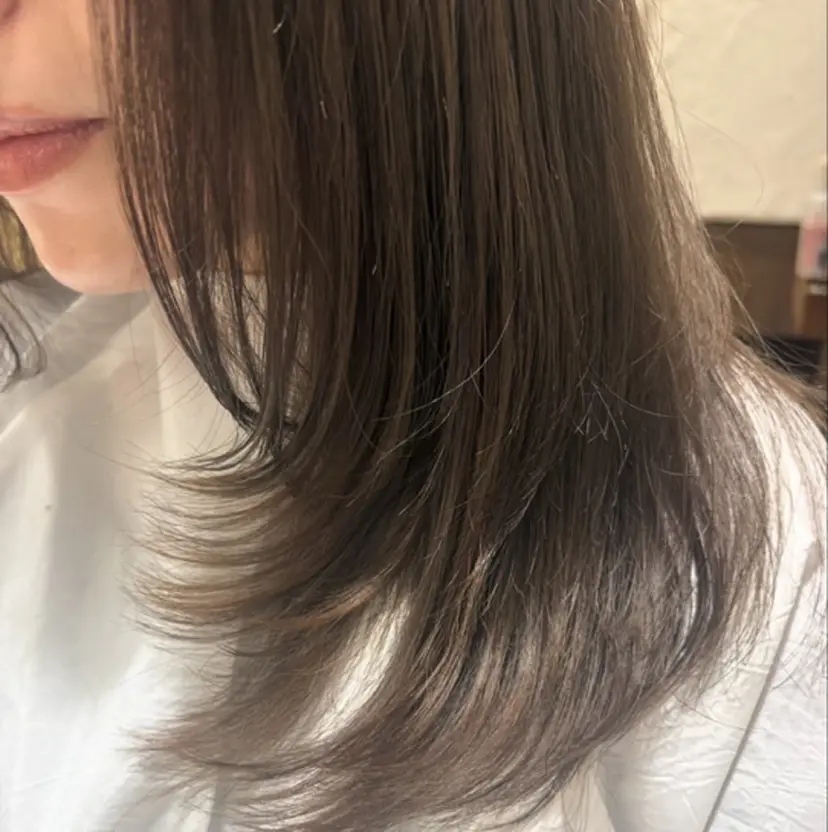 藤井 怜菜の掲載