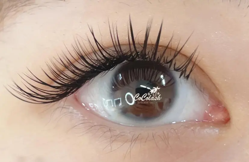 ココ ラッシュの掲載