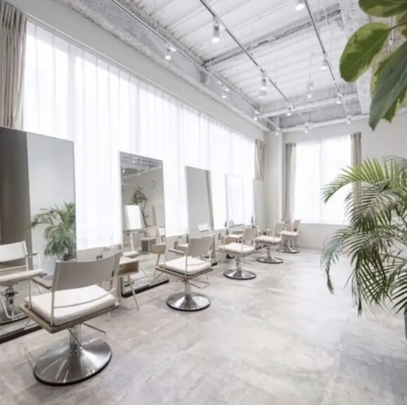 加藤 栞里の掲載