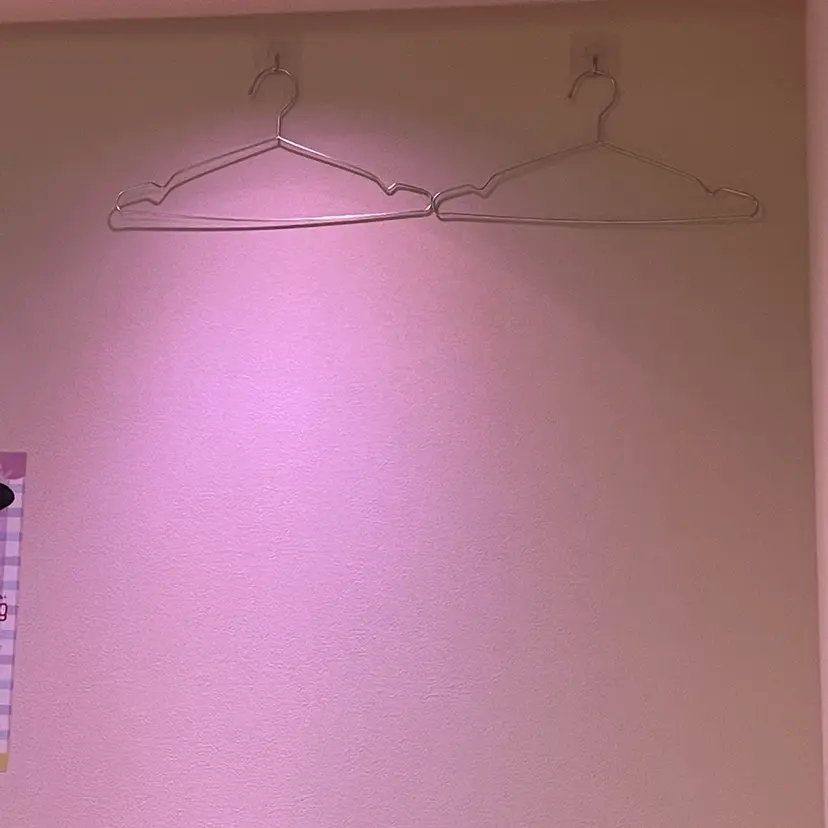 angebrown Momonoの掲載