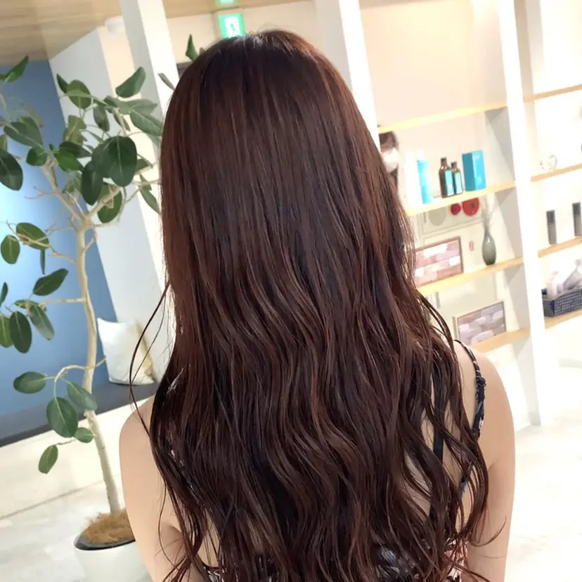 松本 翔吾の掲載