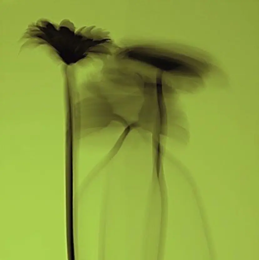 カラーモデル募集中♪ nanamiの掲載