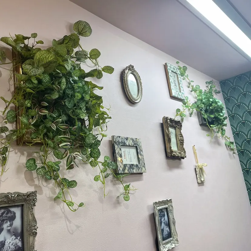 sugar ただの掲載