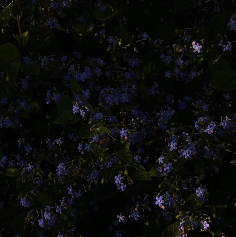 🎀Oihara 🎀の掲載