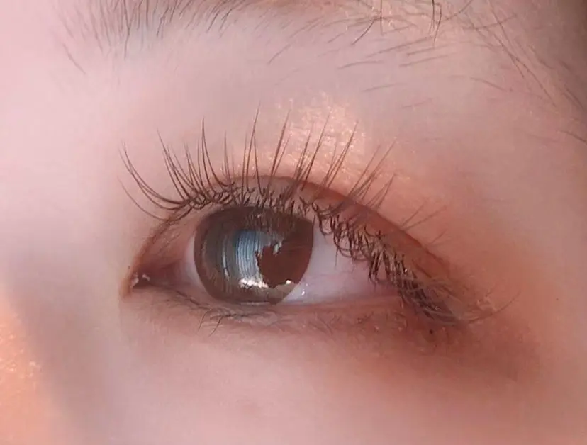 【Ma chere fluer】 華枝の掲載