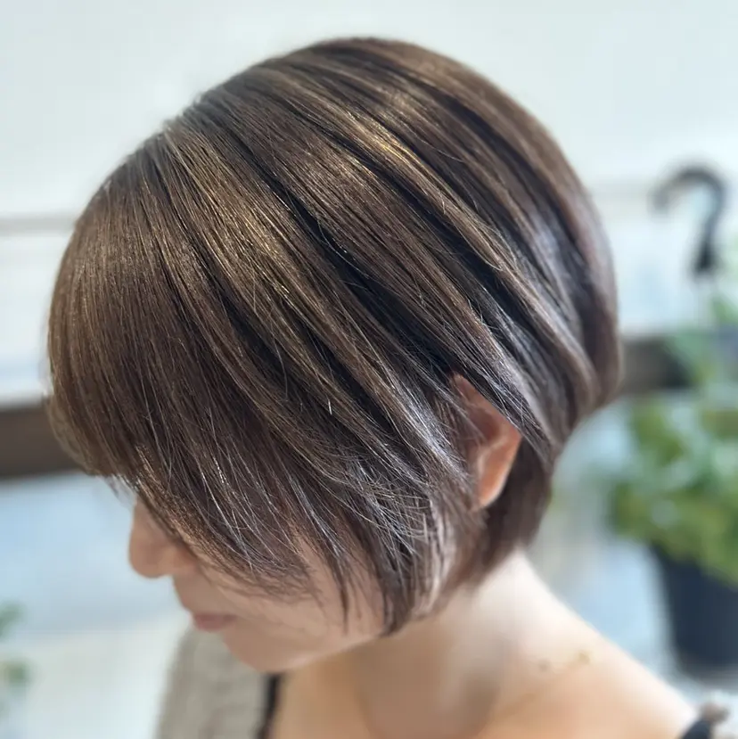 白髪ぼかしモデル 募集中ヒキマカイトの掲載