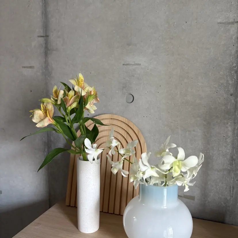 α.chalulu mayuの掲載