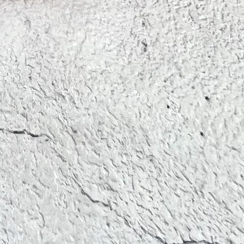 MAXKELLY YUASAの掲載