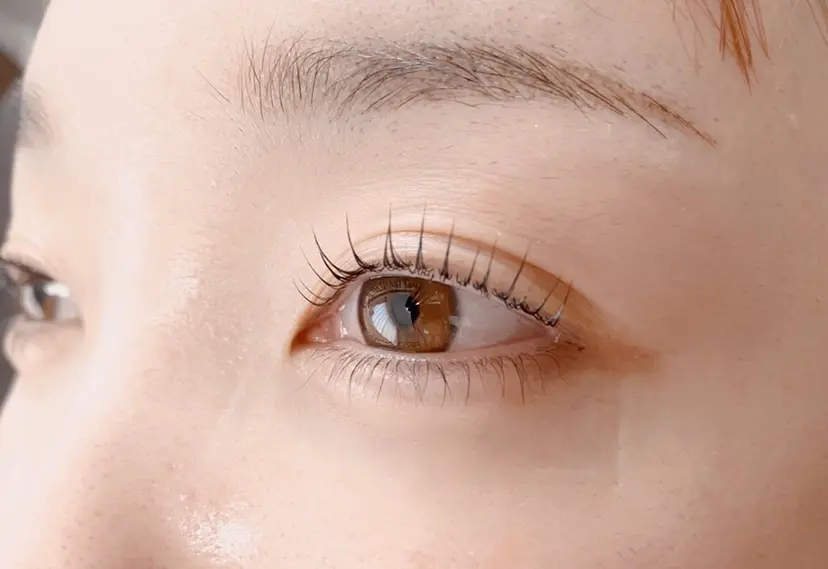 トクマル ミカの掲載