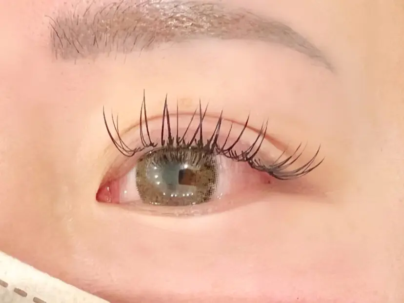 NIKOR eyelashの掲載