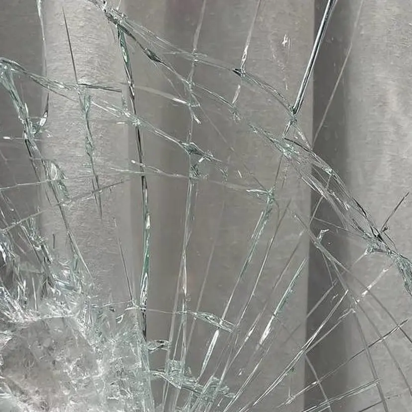 Lomalia Rukaの掲載