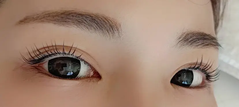 犬飼 晃世の掲載