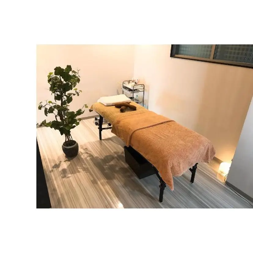 YUASA MASAMIの掲載