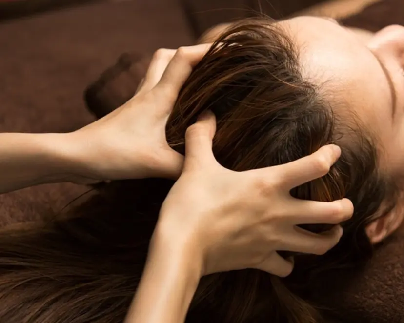 camel☆nami ☆の掲載