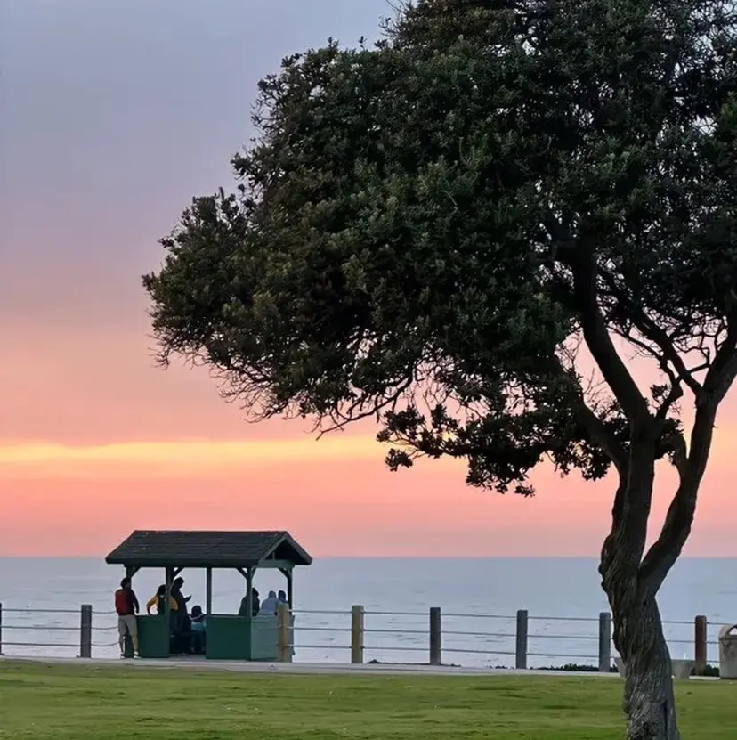 🌼TRU ERIKA🌼の掲載