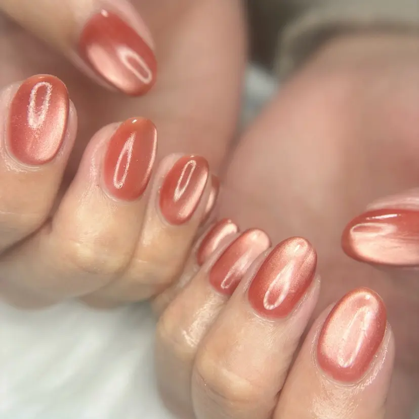 伊藤 紗樹の掲載