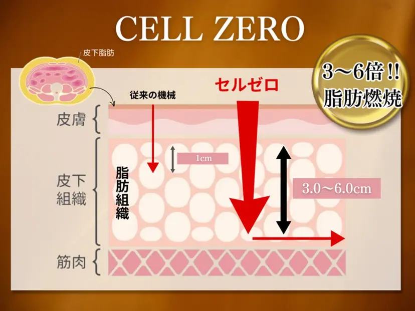 田中 TANAKAの掲載