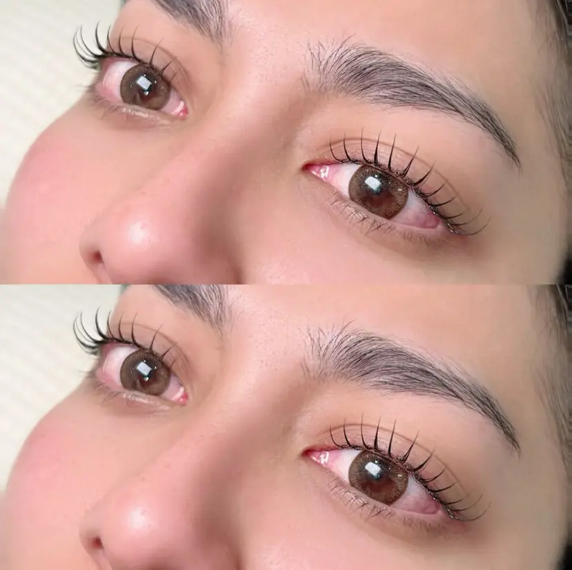 student salonの掲載