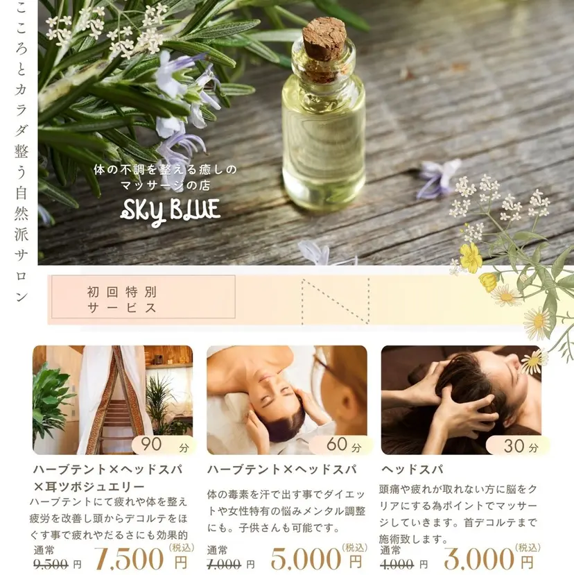 SKY Blueの掲載