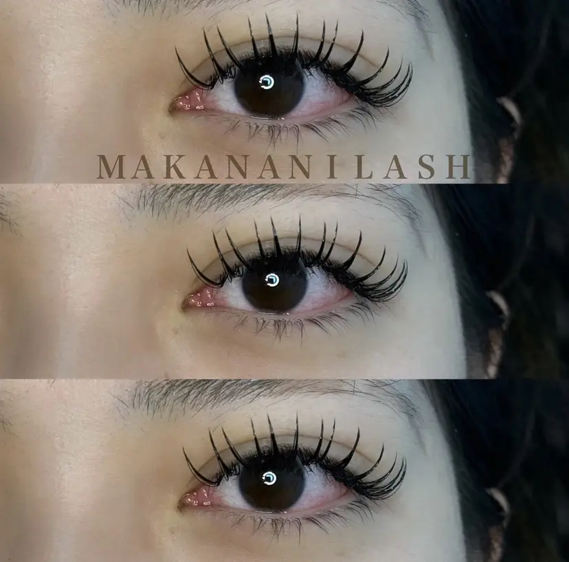 ヤマグチ リンの掲載