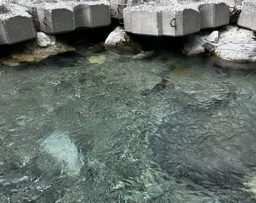 太田 妃乃の掲載