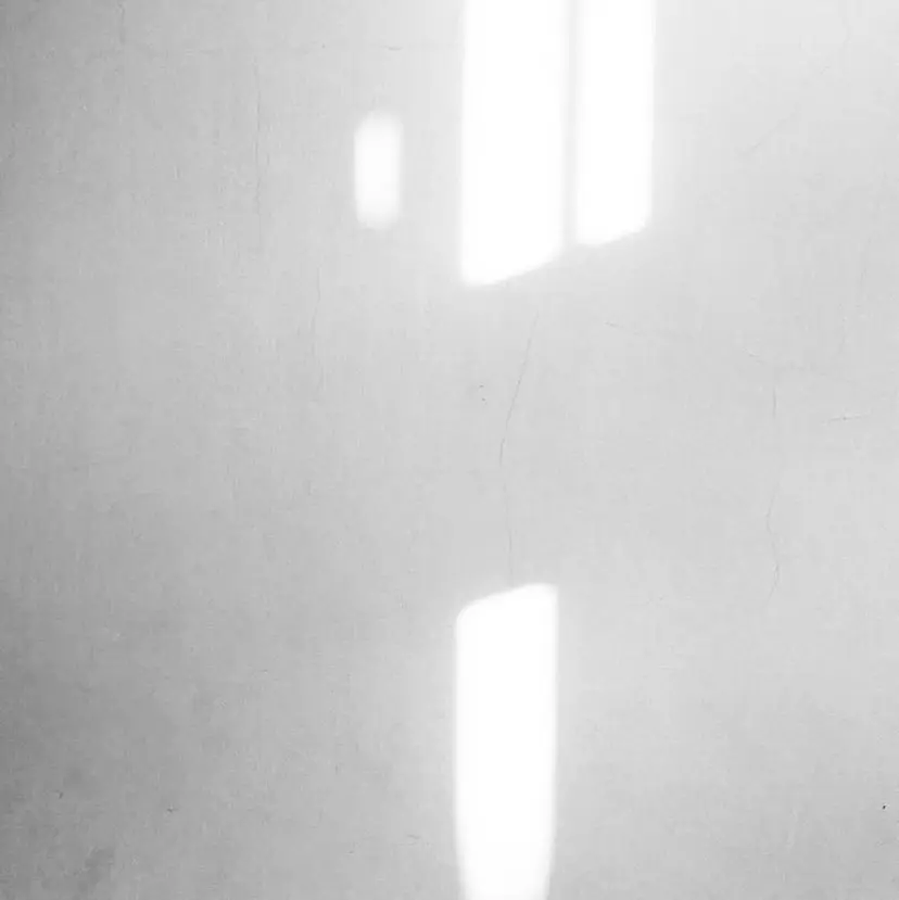 SUILU eyelashの掲載