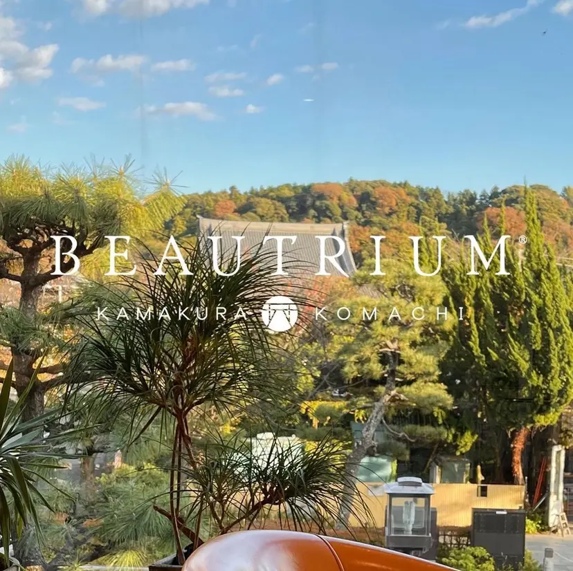 ❄️ファッションカラ ー/オクデラ❄️の掲載