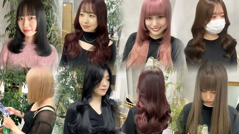 高山 アミの掲載