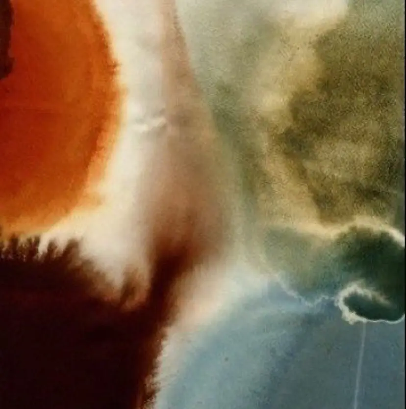 新留 光希の掲載