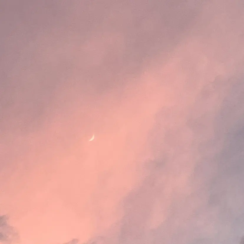 かわむら はるあ🍒の掲載