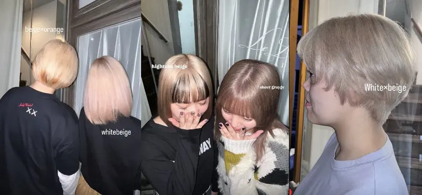 愛梨/ハイトーン /韓国/ダメージレスの掲載