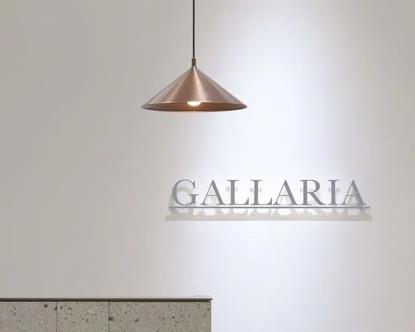 シオダ チコトの掲載