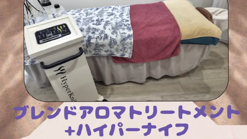 サロン ドゥトレフル アロマハイパーナイフの掲載