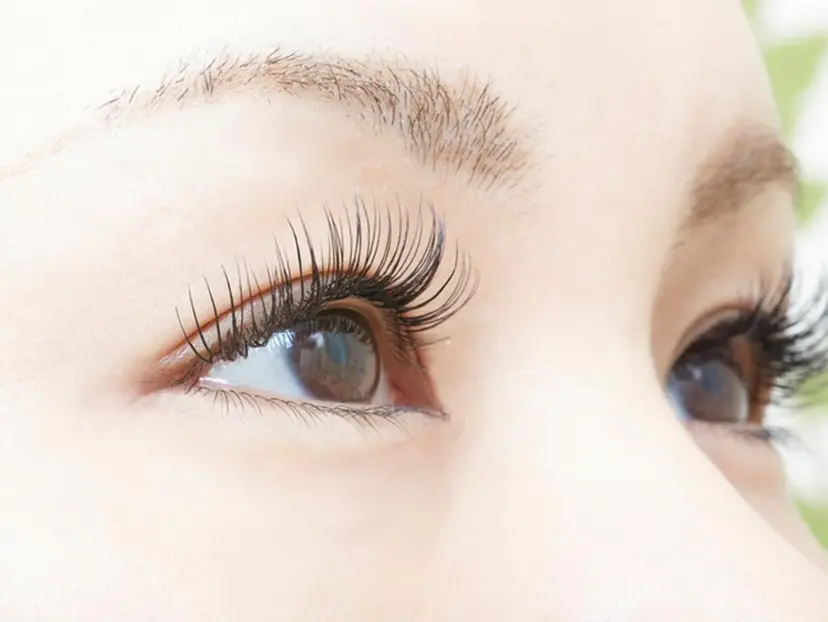 eyelash LINOの掲載