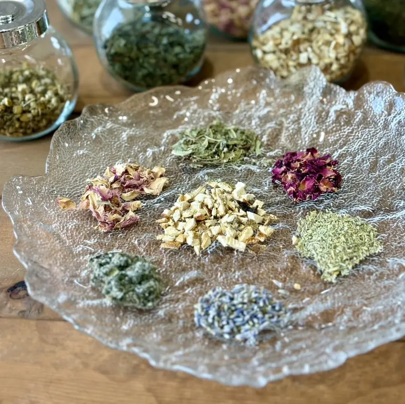 渋谷 奈々の掲載