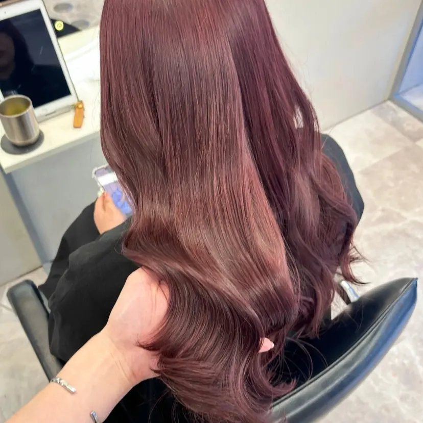 leben serikaの掲載