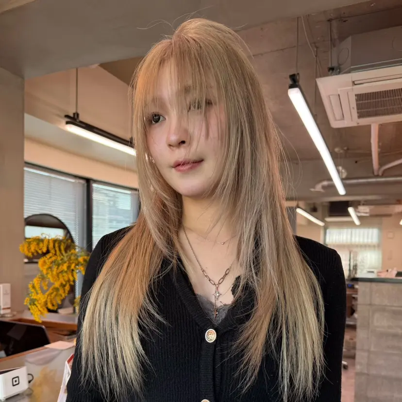 トウヤマサキ レイの掲載