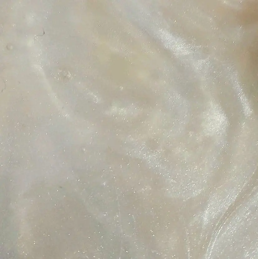 Lidee kanonの掲載