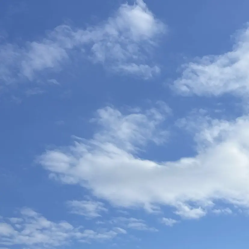 紗帆（saho）   ︎︎︎︎の掲載