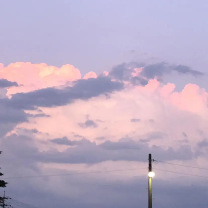 Bianca 武蔵小金井　日暮の掲載