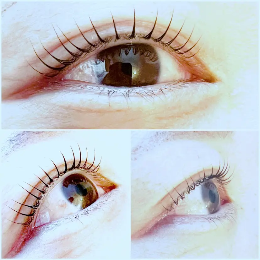 渋谷 志穂の掲載