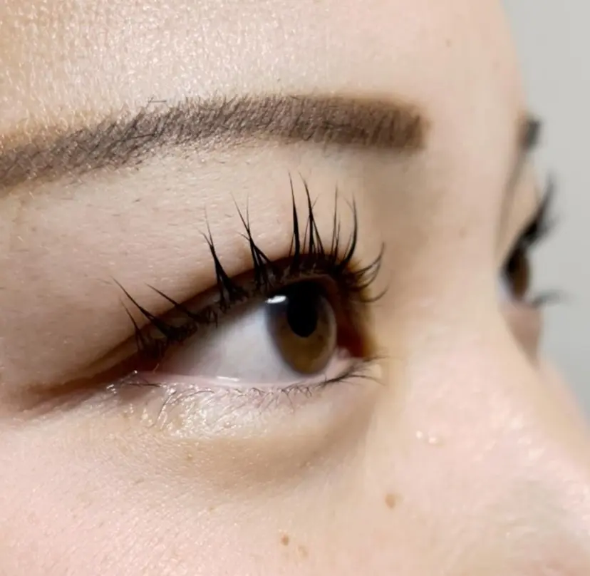 Freude Yamaguchiの掲載