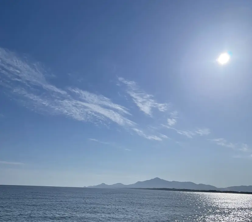 佐藤 海璃の掲載