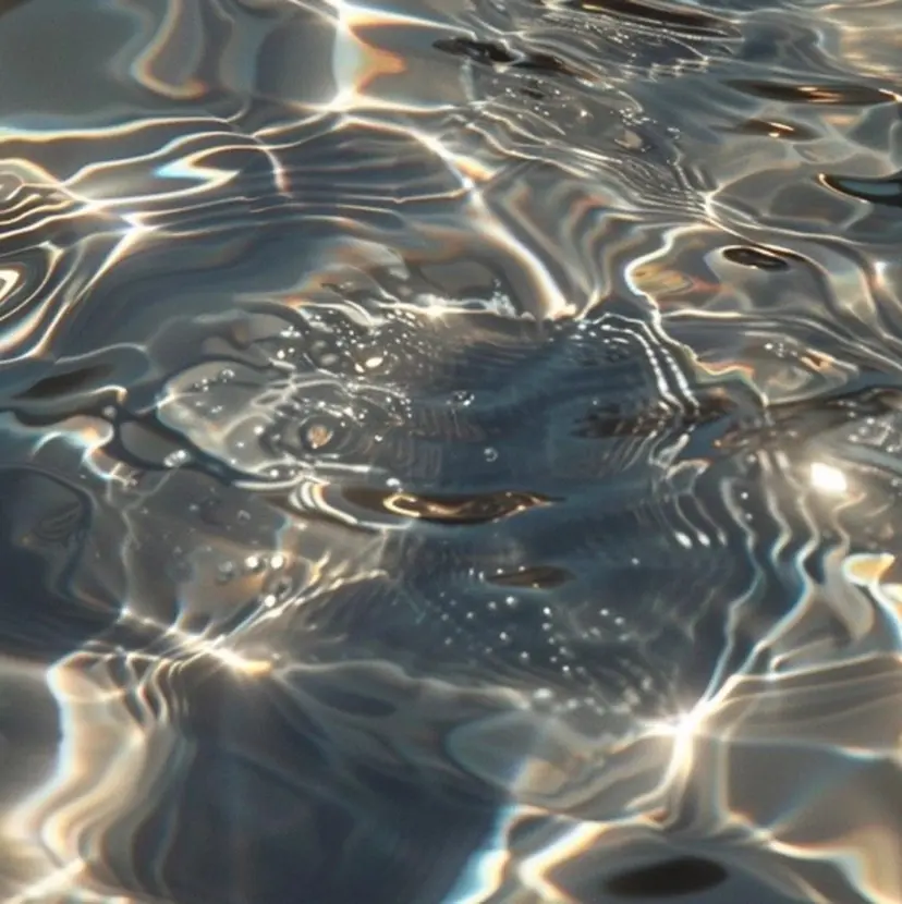 salon matricariaの掲載