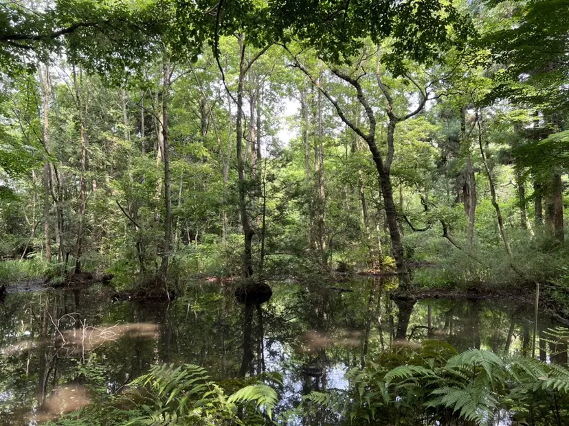 eye list Runa🌿の掲載