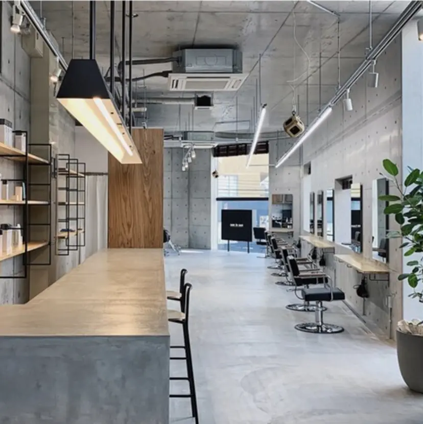 葉 /透明感カラーの掲載