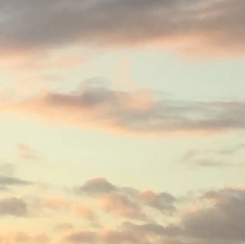 𝑒𝑖𝑔ℎ𝑡 yoshino 🤍の掲載