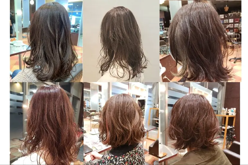 山内 泰輝の掲載