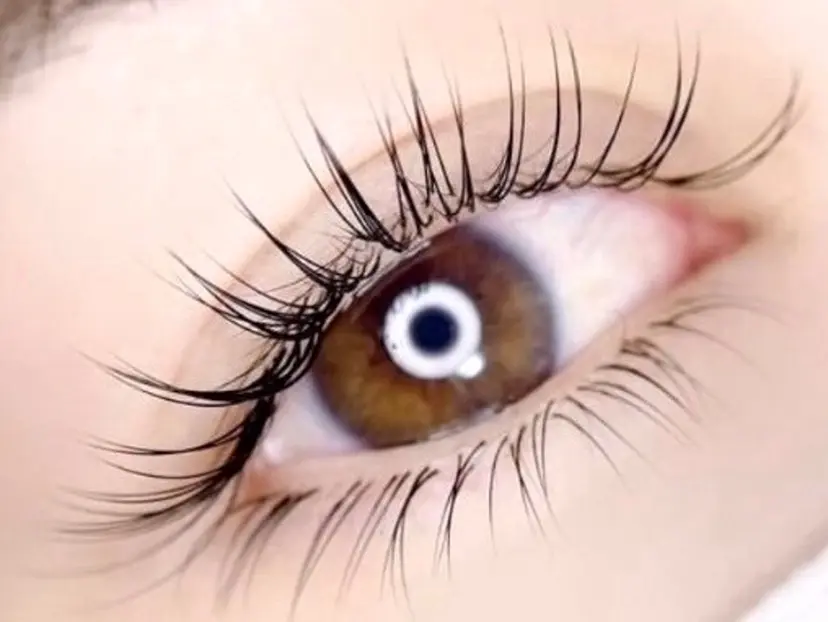 中野 優子の掲載