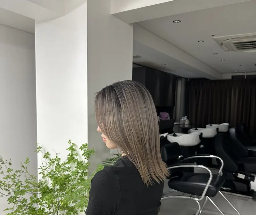 Mei/ハイトーン/ シャドールーツの掲載